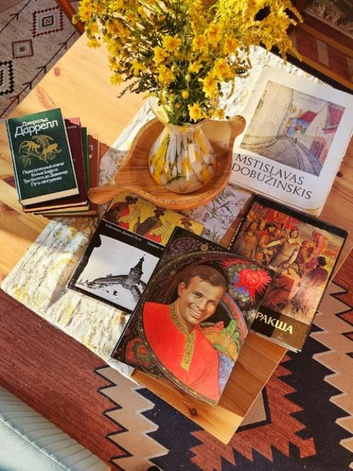 Интерьер кухни - гостиной от Александра Dacha_na. 01