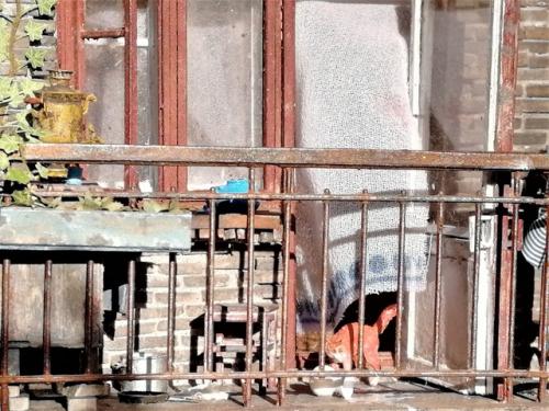 Диорама Весенняя Крыша 1/35. 08