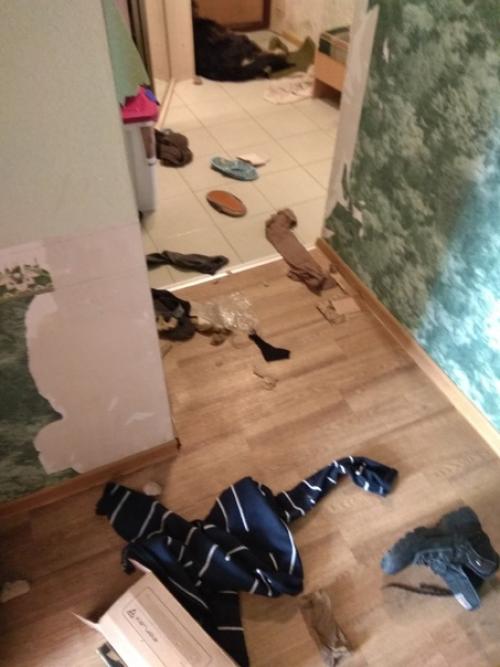 А ваши собаки тоже занимались дизайном? 02