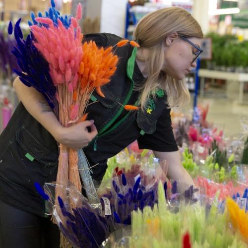 Топ - 5 сухоцветов. 01