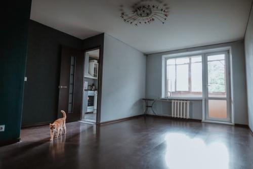 Ищу прекрасных соседок в прекрасную квартирку! 04 Ищу прекрасных соседок в прекрасную квартирку! 04