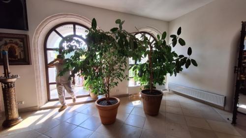 Цвет для русского человека не событие. 04