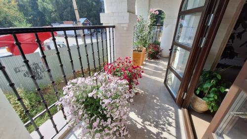 Цвет для русского человека не событие. 03