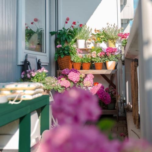 Любоваться закатом, пить чай или проводить вечер с любимой книгой …. 03