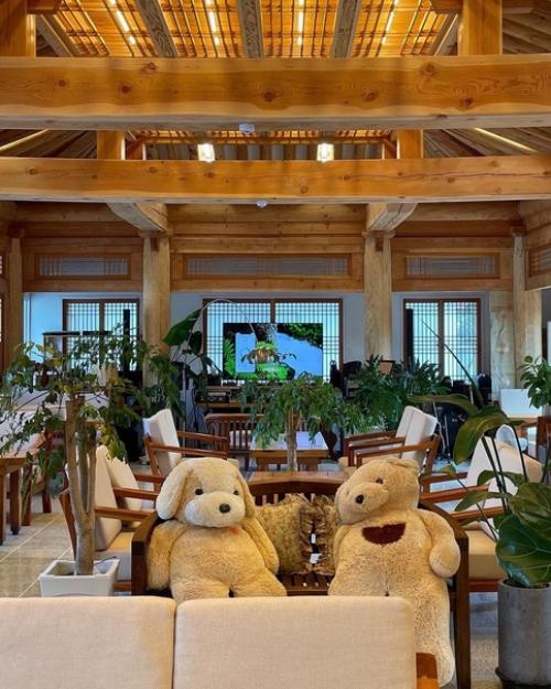 TK_Facts.  Кафе Soyang Hanok Tirol. 03