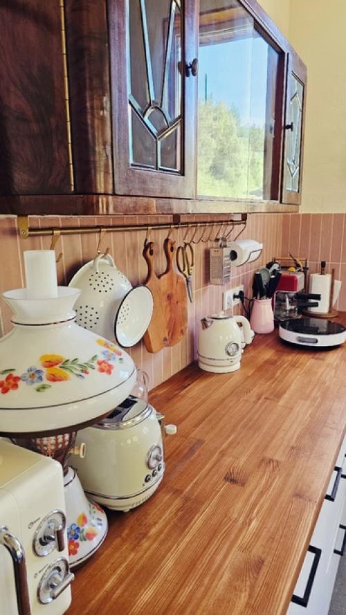 Интерьер кухни - гостиной от Александра Dacha_na. 03