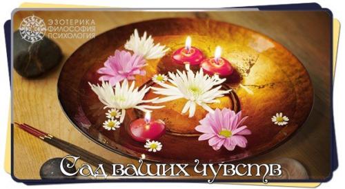 Сад ваших чувств.