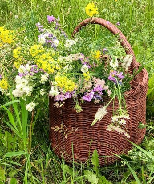 А расскажу я вам из чего я плету свои плетушки. 01