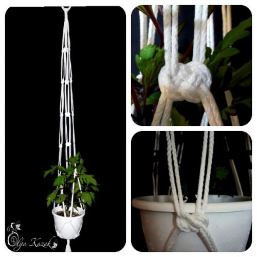 Дорогие любители цветов! 04