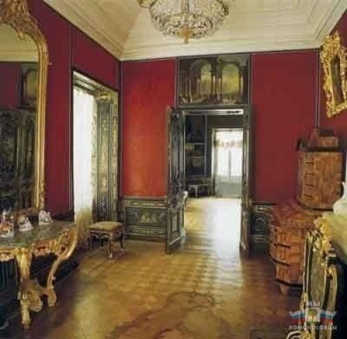 Дворец петра III. 02