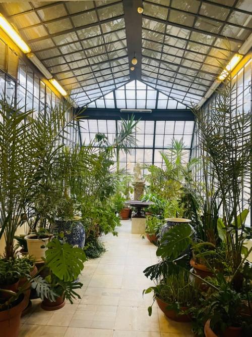 Владимирский дворец (дом ученых) дошел практически в неизменном виде, пережив революцию и две мировые войны. 04