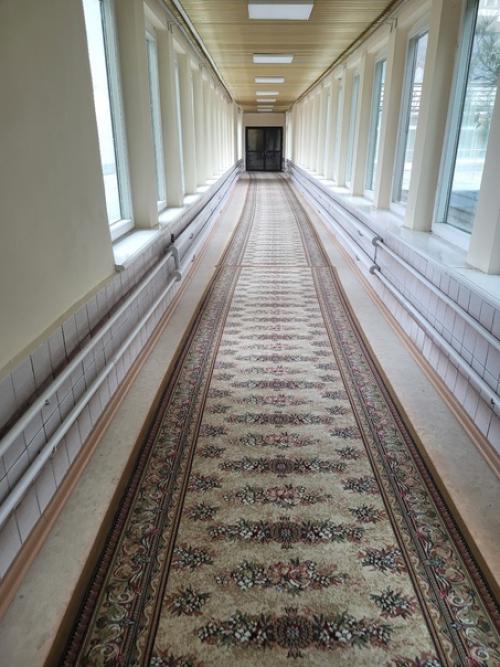 Эстетика санатория:  - Те самые огромные комнатные растения, живущие здесь со времен Ссср. 07