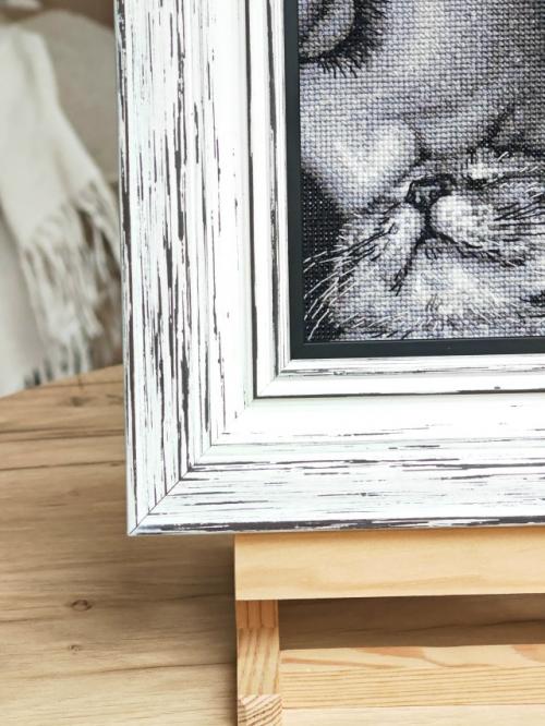 Ну кто перед котиками устоит? 04 Ну кто перед котиками устоит? 04