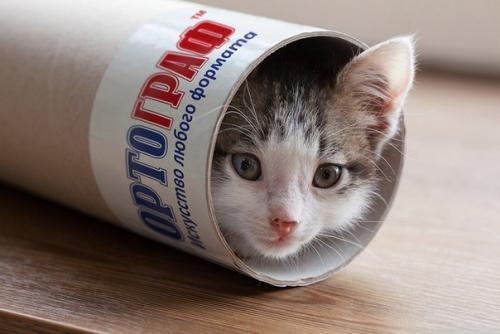 Хочу рассказать милую историю.  