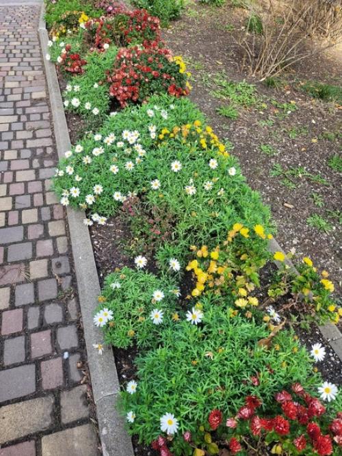 Эстетика санатория:  - Те самые огромные комнатные растения, живущие здесь со времен Ссср. 03