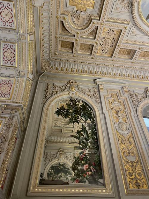 Владимирский дворец (дом ученых) дошел практически в неизменном виде, пережив революцию и две мировые войны. 09