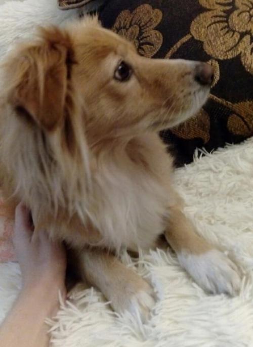 Знаете, бывают такие люди.