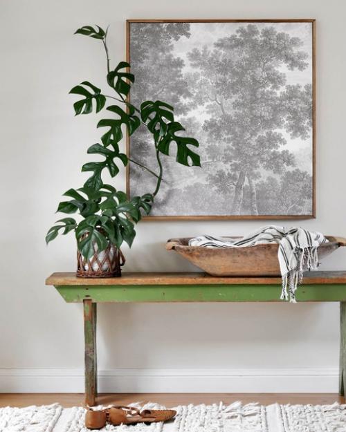 Комнатные растения - отличный способ смягчить функциональность кухни. 06