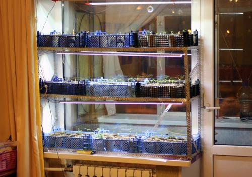 Стеллаж для рассады: зачем нужен и как сделать своими руками? 02