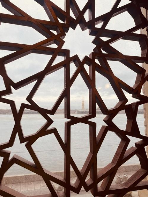 Владимирский дворец (дом ученых) дошел практически в неизменном виде, пережив революцию и две мировые войны. 07