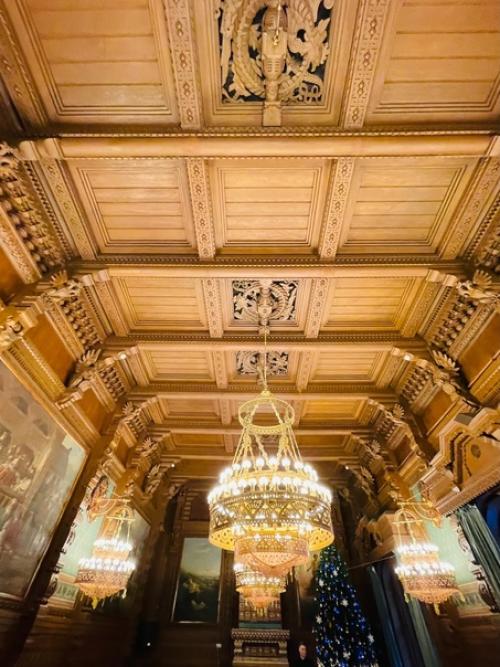 Зимний сад владимирского дворца был разбит на месте помпейской гостиной. 04