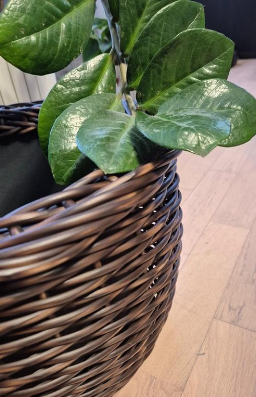 Готовимся к весне! 01