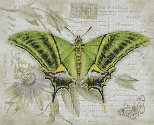 Бабочка - символ веры, надежды и любви. 05