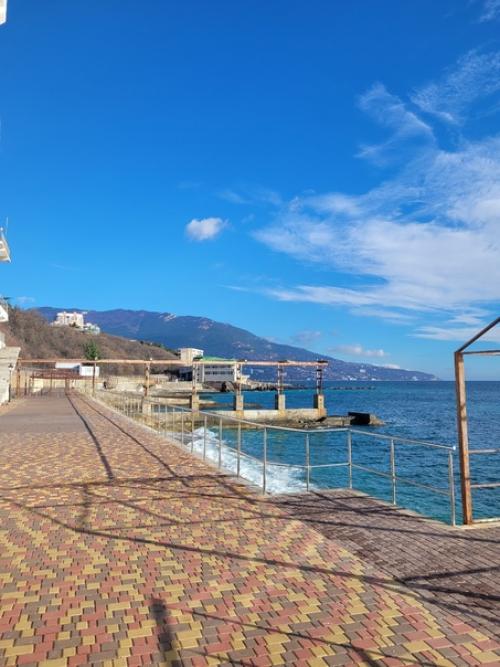 Эстетика санатория:  - Те самые огромные комнатные растения, живущие здесь со времен Ссср. 04