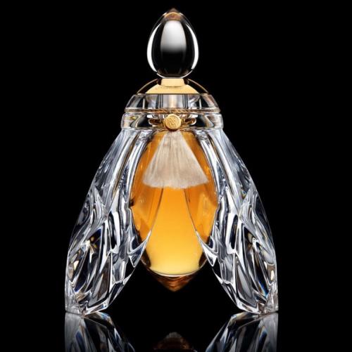 Топ - 5 самых дорогих духов в мире. 01