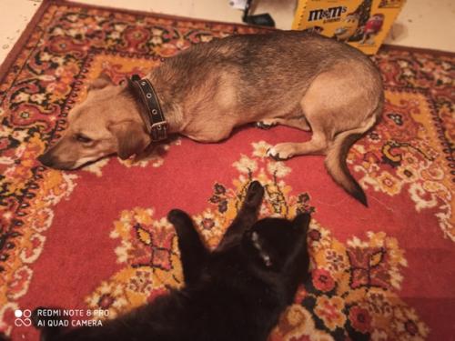 Для тех кто благородное черное любит! 02