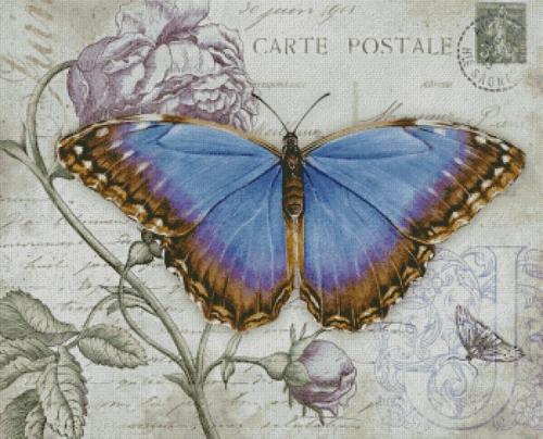 Бабочка - символ веры, надежды и любви. 07