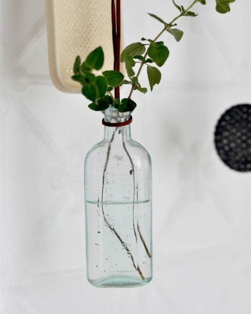 Комнатные растения - отличный способ смягчить функциональность кухни. 07