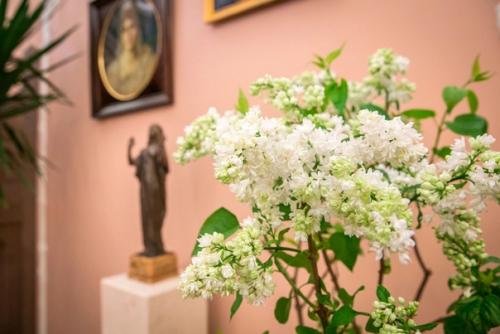 Возрождение традиций царской семьи: в александровском дворце зацвела сирень. 02