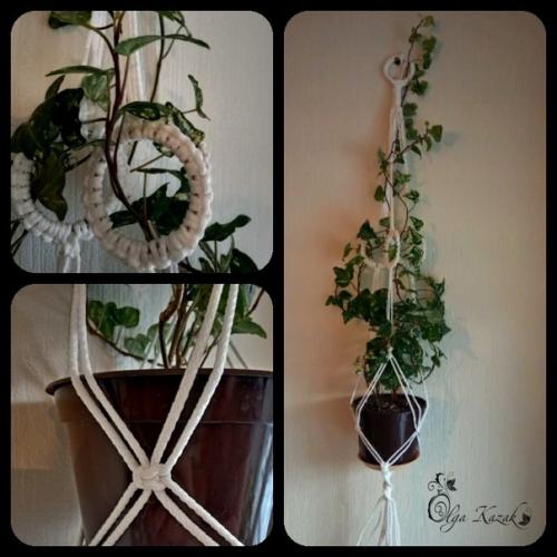 Дорогие любители цветов! 01