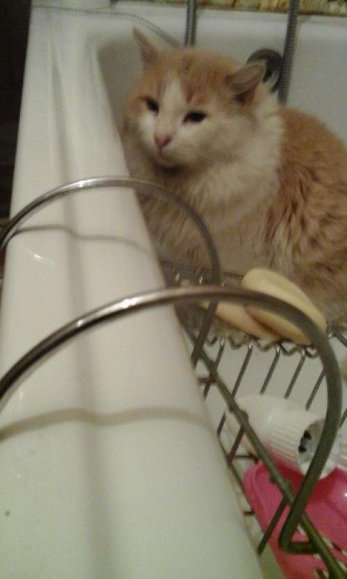 Новый год можно по разному встречать.