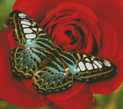 Бабочка - символ веры, надежды и любви. 02