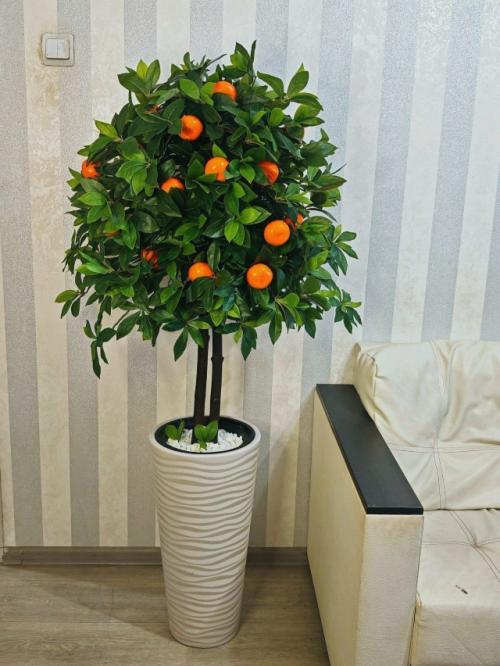 Ищете идеальное зелёное дерево для дома? 03