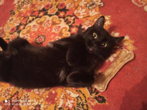 Для тех кто благородное черное любит! 01