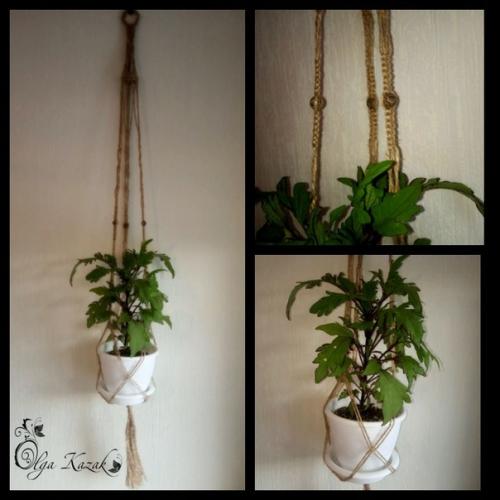 Дорогие любители цветов! 05