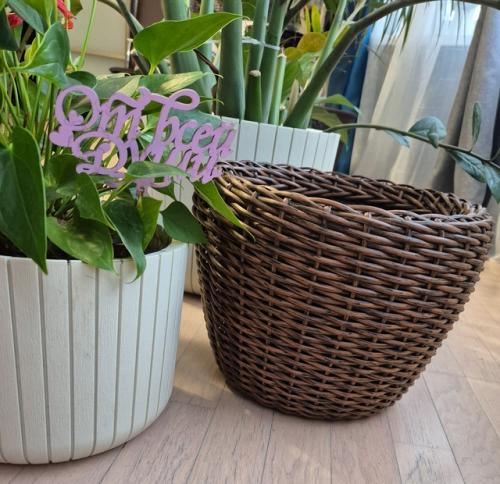 Готовимся к весне! 03