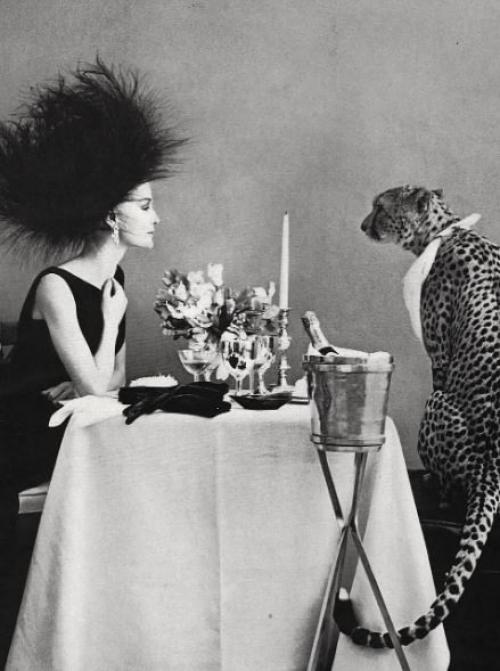 Модные ретро - фотографии леомбруно - боди. 08