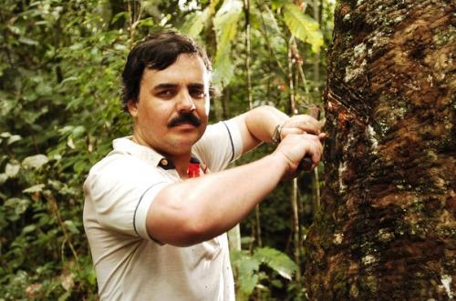 Amazonia интересныефакты@Novelasbrasil. 07