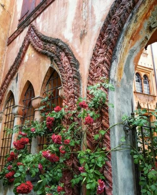 Кастелло - дель - рокколо, Буска, Пьемонт, Италия. 04