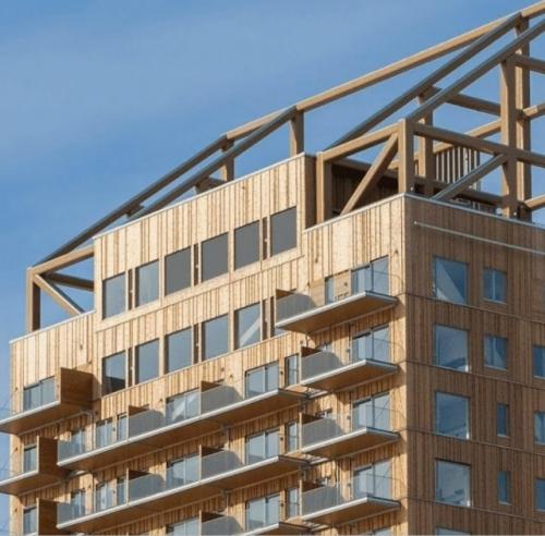 В России могут разрешить строить деревянные небоскрёбы.

