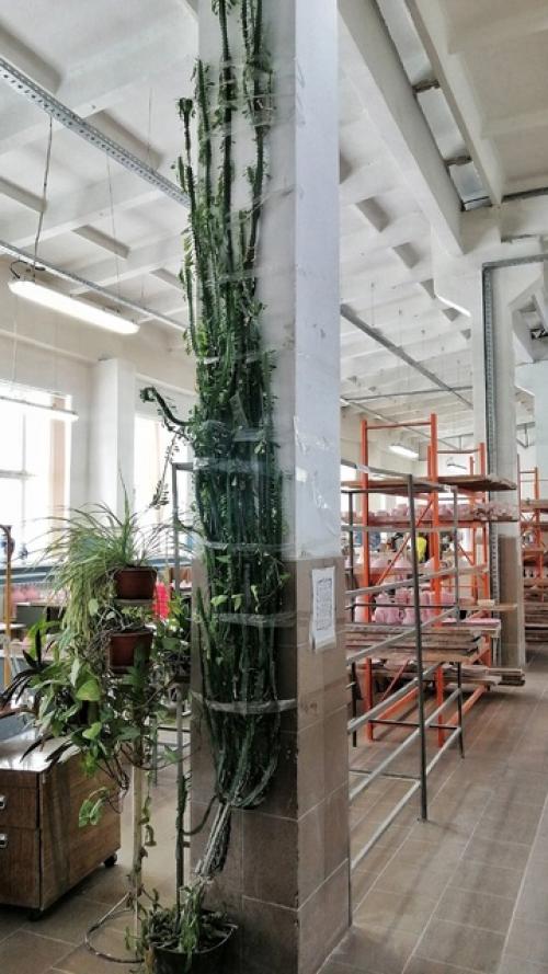 Заметки о цветах от капитана очевидность. 05 Заметки о цветах от капитана очевидность. 05