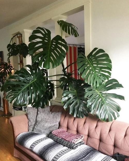 Заметки о цветах от капитана очевидность. 04 Заметки о цветах от капитана очевидность. 04