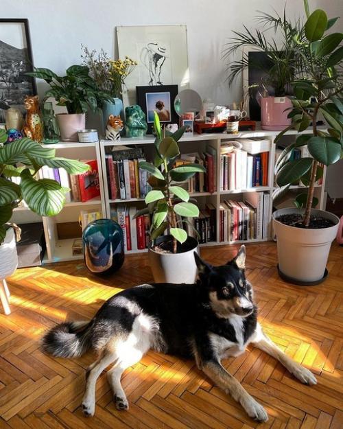 Уютная Зелёная квартира в Москве. 06