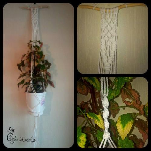 Дорогие любители цветов! 06