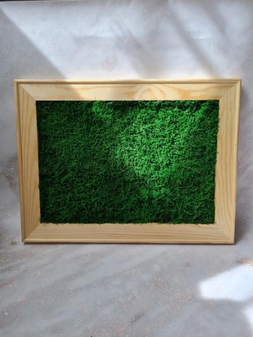 Декорировать мхом можно много всего - от маленьких кашпо до целых комнат. 04