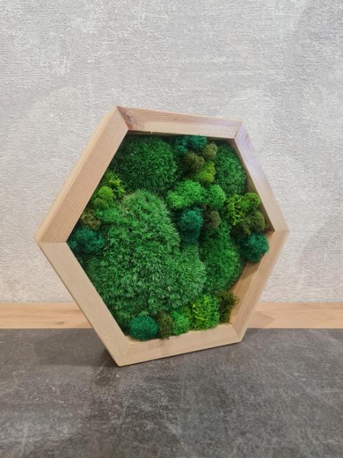 Декорировать мхом можно много всего - от маленьких кашпо до целых комнат. 01